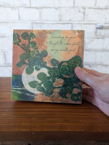 Echoes of the Forest Collection-New (beginning)